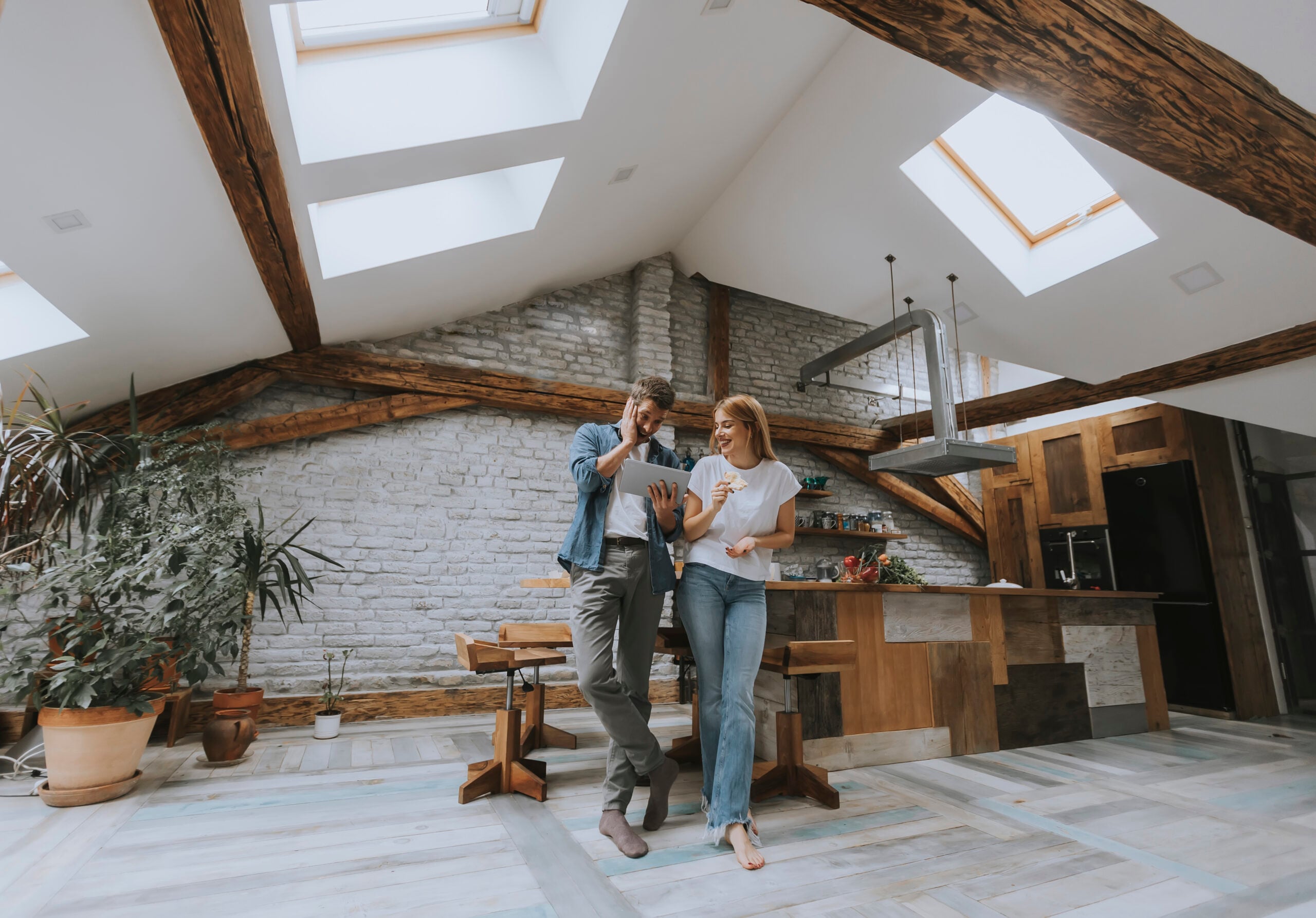 mono-pitched rooflights